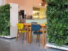 Movable living wall dividers can transform an open office floorplan into a more inviting, productive workspace.